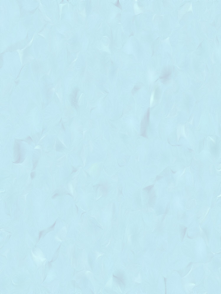 wp73f918e3_0f.jpg